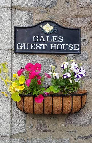 Gales Guesthouse reception